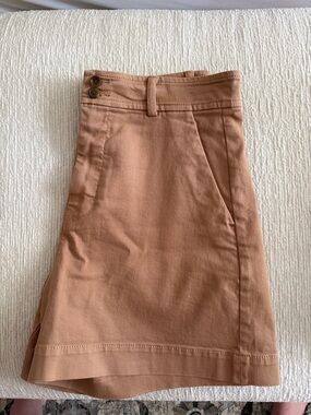 Everlane Camel/Tan A-Line Cotton Skirt